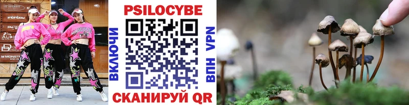 Галлюциногенные грибы Magic Shrooms  Купить  Химки 